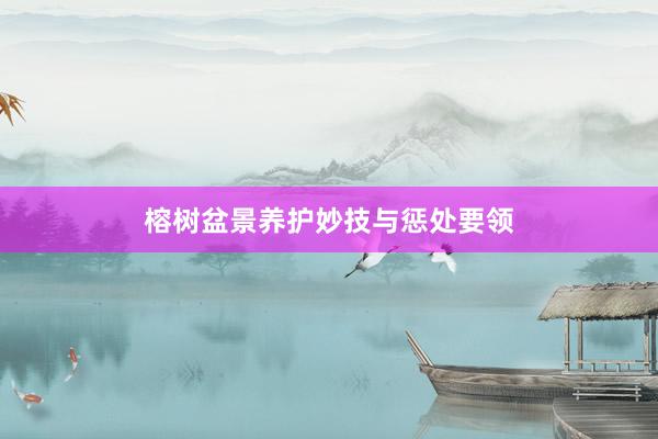 榕树盆景养护妙技与惩处要领