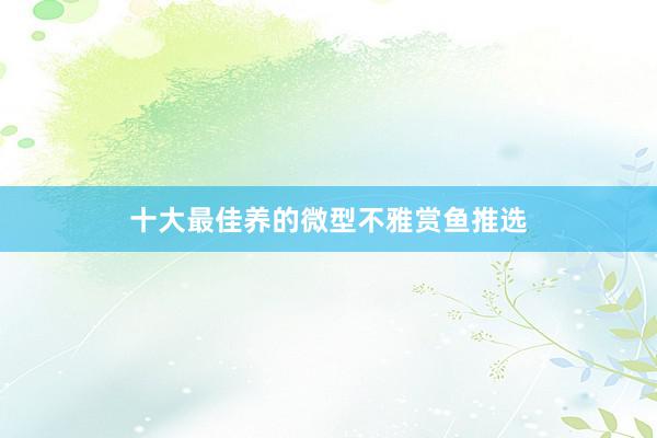十大最佳养的微型不雅赏鱼推选
