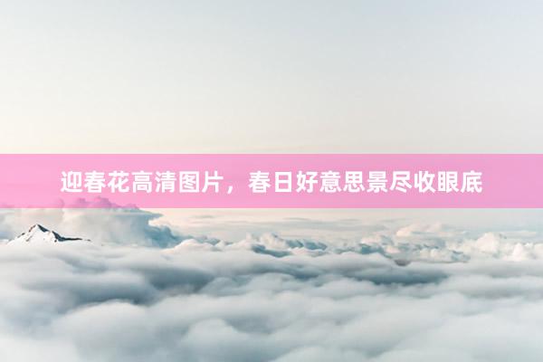 迎春花高清图片，春日好意思景尽收眼底